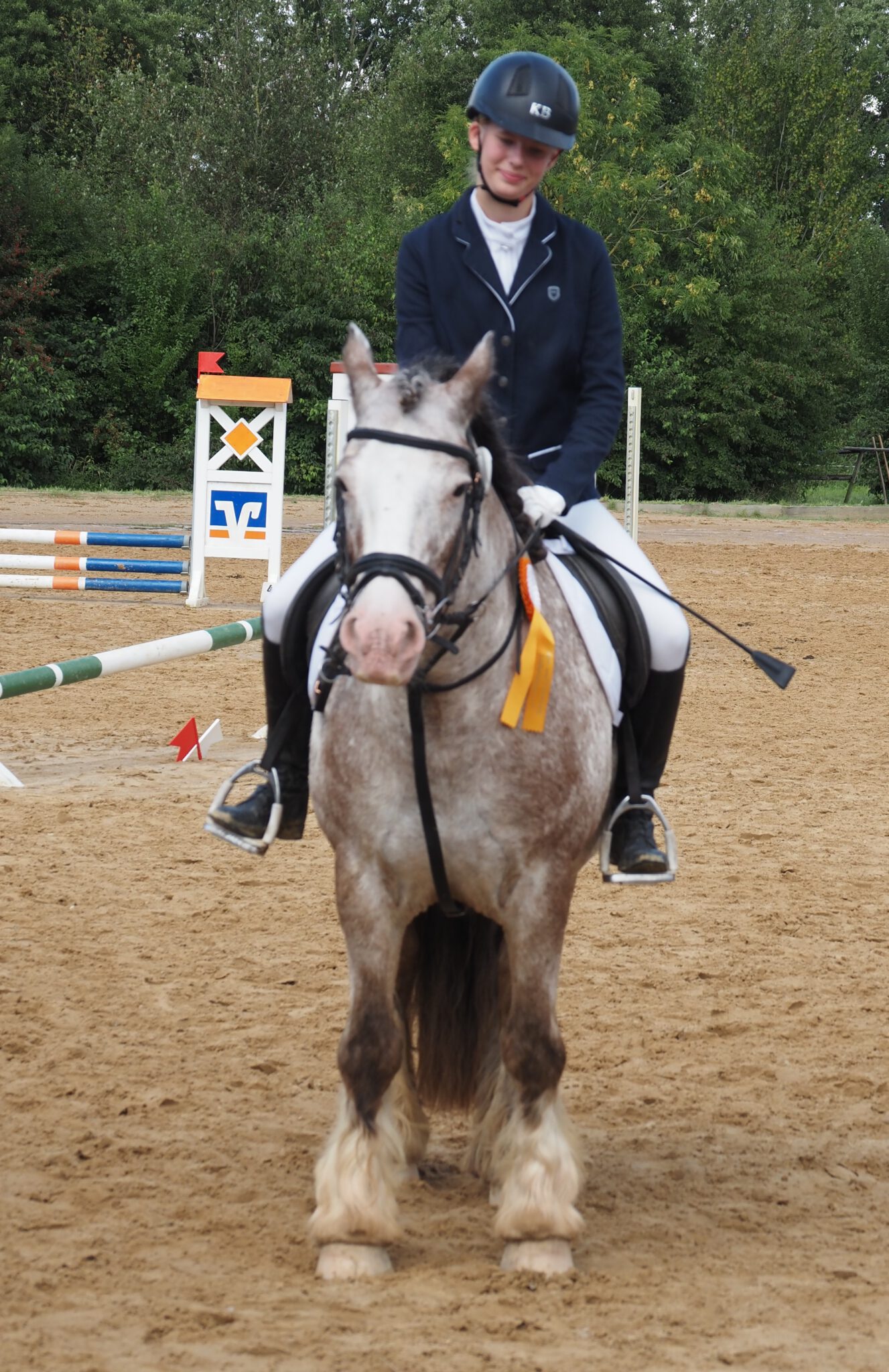 Regionaltag WBO-Turnier 26.8.2023 – Reit- und Fahrverein Südkehdingen e.V.